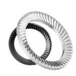 Pair of Schnorr serrated safety washers