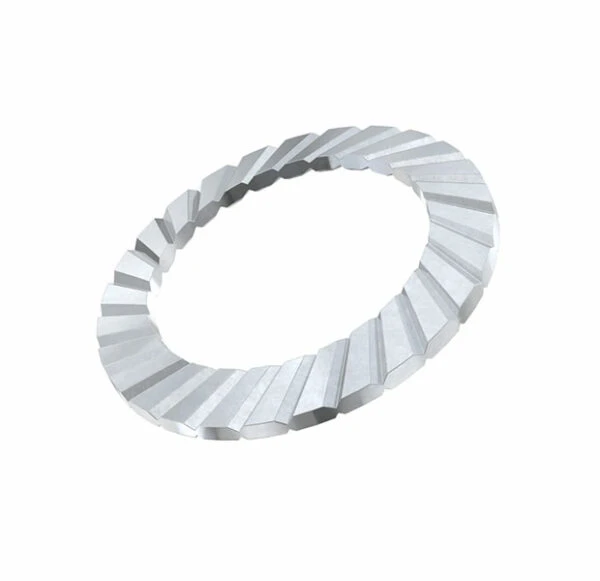 Schnorr Safety Washer Type S M20 ZN8M+PASSIVATION