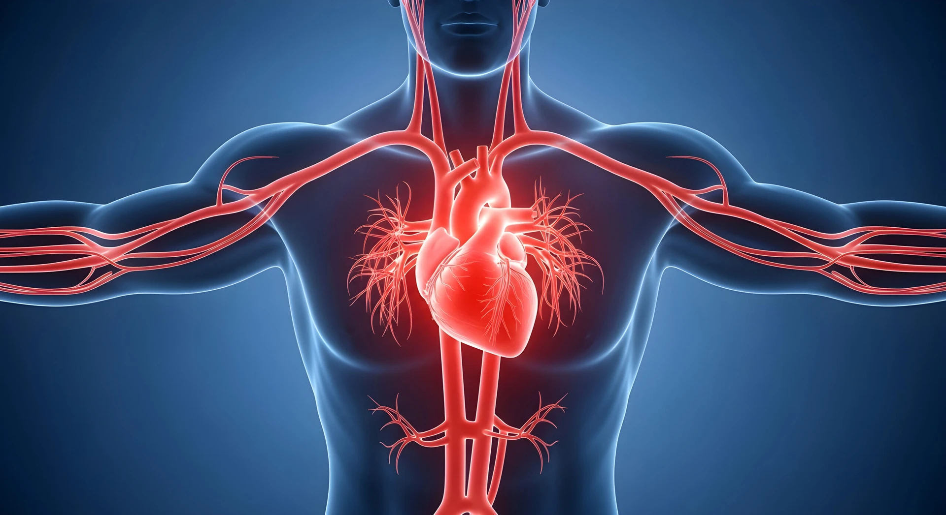 heart medical bearings